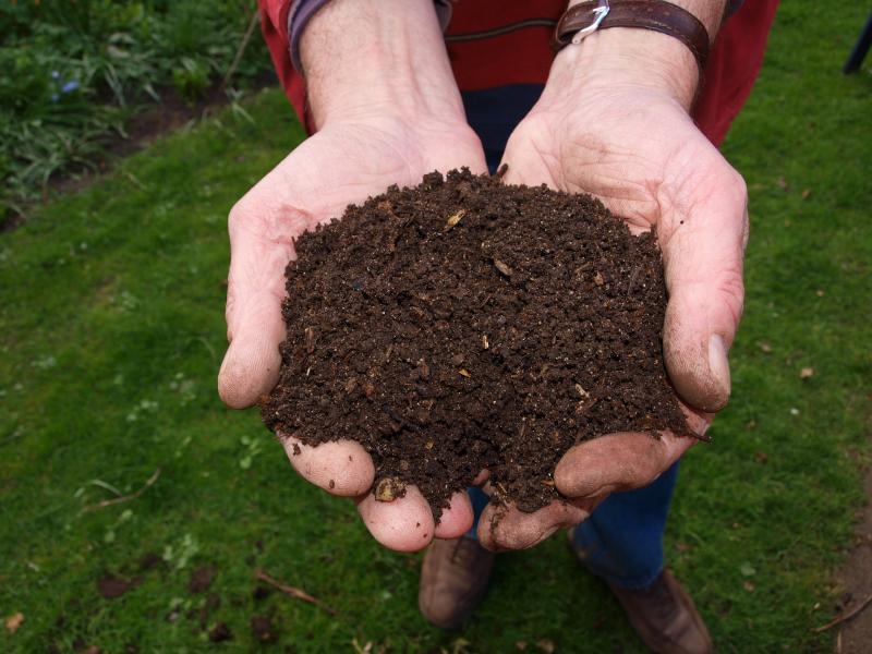 6 Common Composting Questions